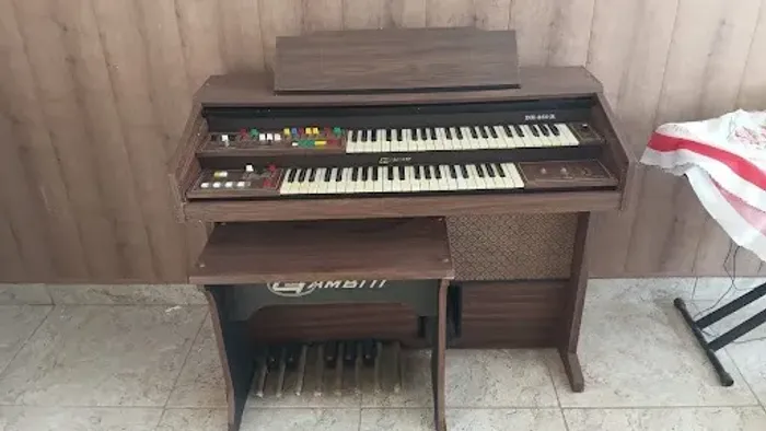 Órgão Eletrônico Gambitt DX-250 R