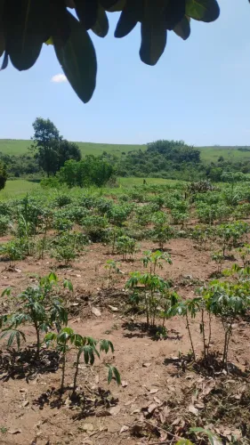 Vende-se chácara Terreno 4500 m² R$; 150.000