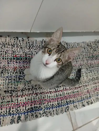 Doação