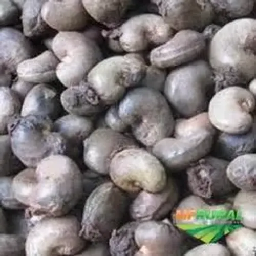 Castanha de Caju natural com casca