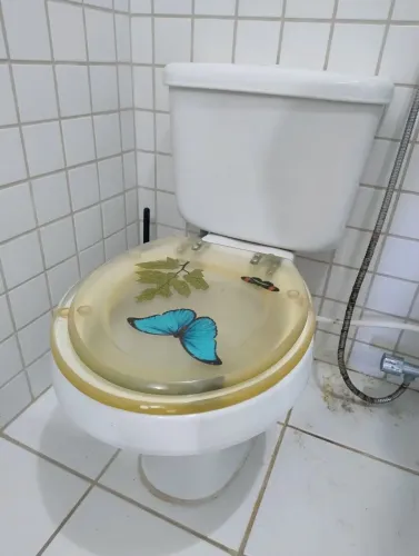 Vaso sanitário acoplado com assento sanitários em acrílico