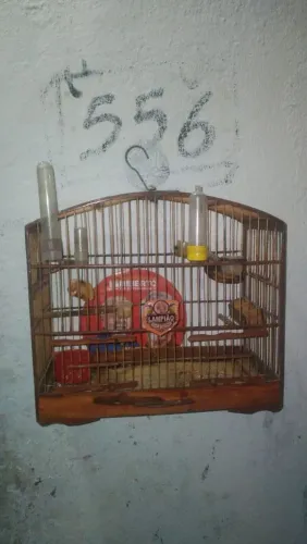 Vendo gaiola baianinha de papacapim toda filé