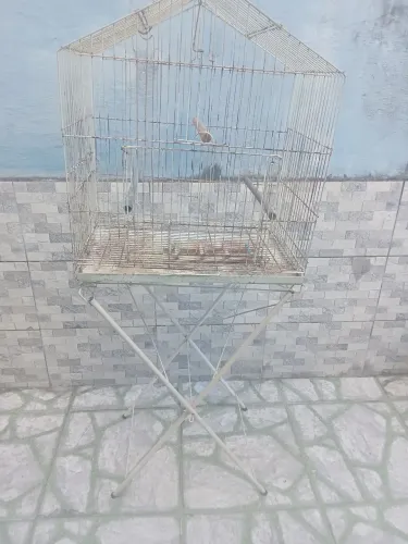 Gaiola