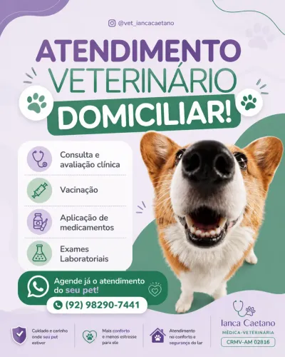 Atendimento Veterinário Domiciliar