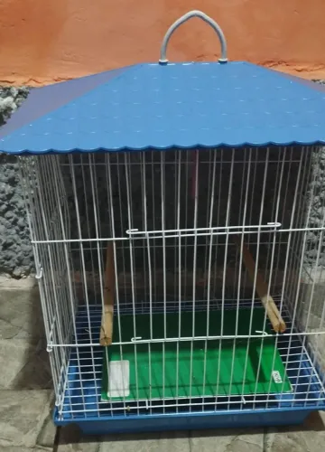 Gaiola 