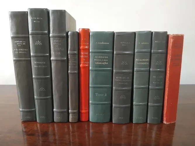 Livros raros e antigos