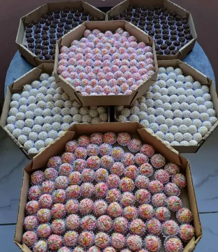 Cento de brigadeiros 