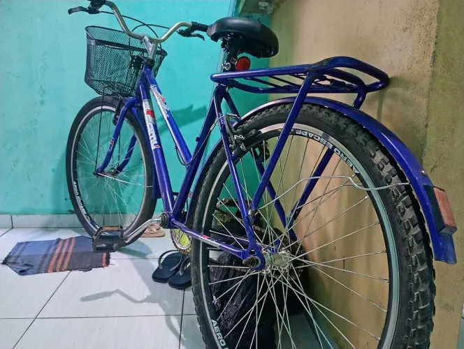 Bicicleta Horizon samy 