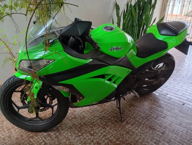 Kawasaki Ninja 300 - 2013