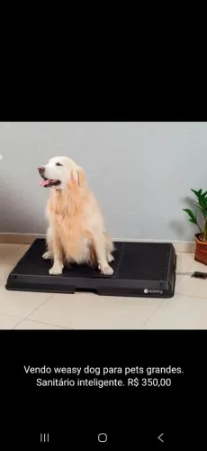 Sanitário pet inteligente weasy grande