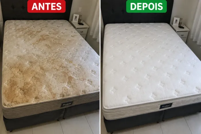 Serviço de limpeza e higienização de estofados.