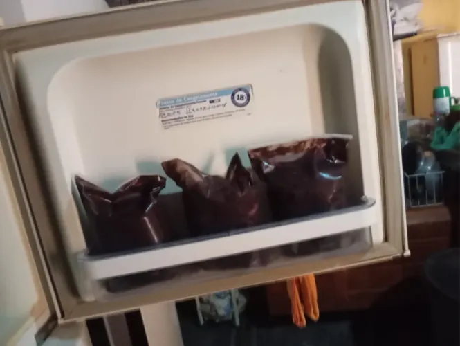 Geladeira funcionando perfeitamente