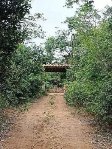 Lote à venda no CAPÃO , CAETÉ-AÇU, Palmeiras, BA