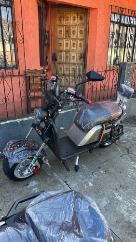 Foston x22 2027 top