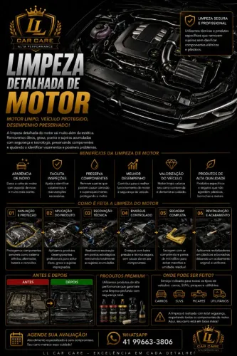 Limpeza detalhada do motor!!