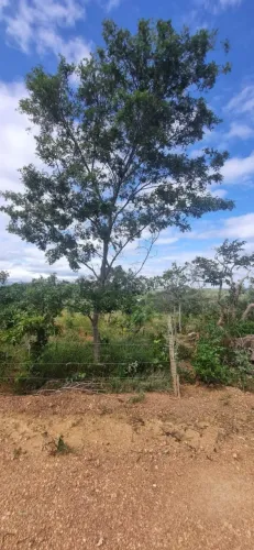 São José do Almeida chácara de 1000m2 *R$70Mil*