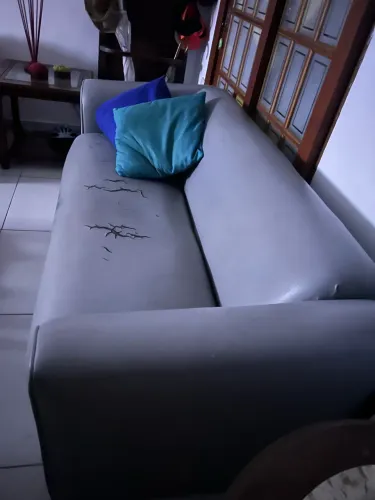 Oportunidade única