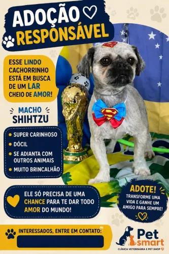 Adoção responsável