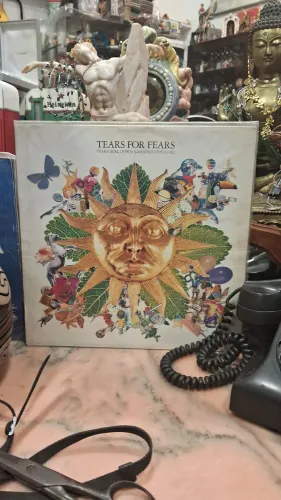 disco de vinil Tears for Fears Tears Roll Down (Greatest Hits 82-92)