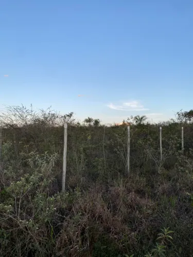 portunidade imperdível!  Dois lotes (cada um) 20 x 40 metros (800 m²), com água e energia