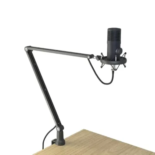Suporte de Braço de Microfone Profissional