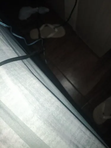 Multimídia 
