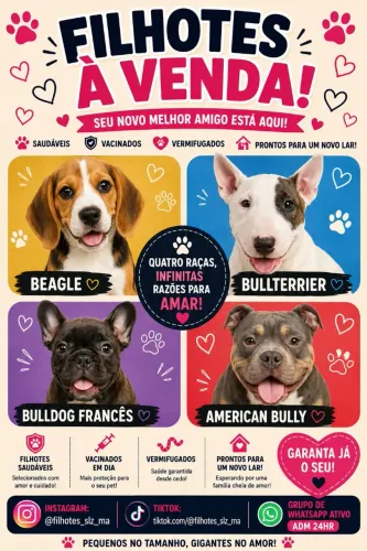 Beagle / Bullterrier / Bulldog francês / American Bully 