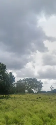 Terreno pra chacara