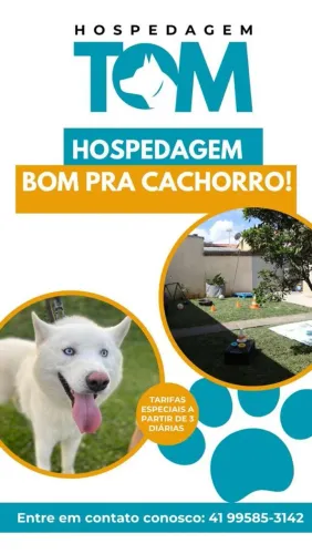 Hospedagem pet