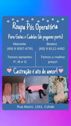 Vende-se roupinha de castração de gatos e gatas 