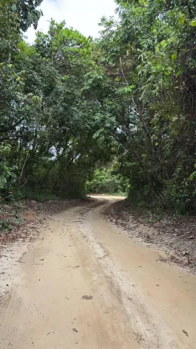 Terrenos e casa em área de praia
