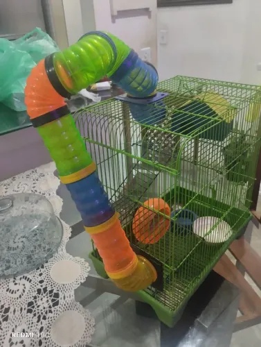 Gaiola para hamester