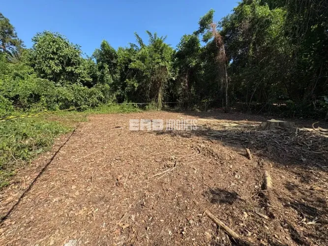 Terreno com autorização da CETESB e ao lado da área verde em Itamambuca