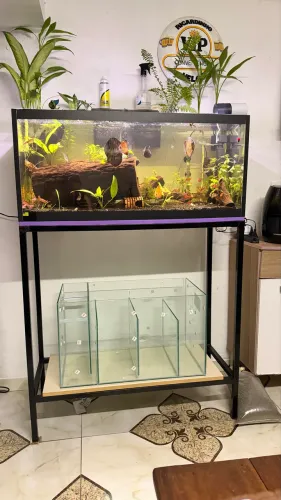 Sump Novo ( Aquário )