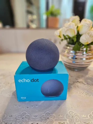 Alexa echo dot