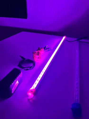 Leds de iluminação para fotografias e decorações