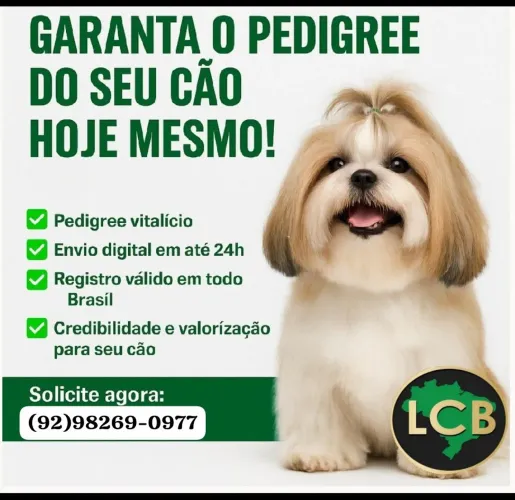 Peça já o Pedigree do seu cão de Raça 
