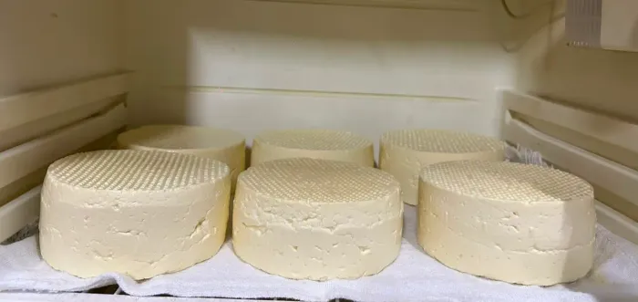 Queijo, leite e ovos