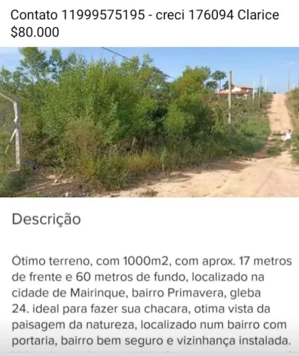 Gleba 24