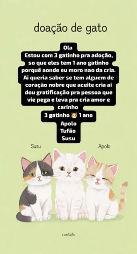 Adoção de gatos