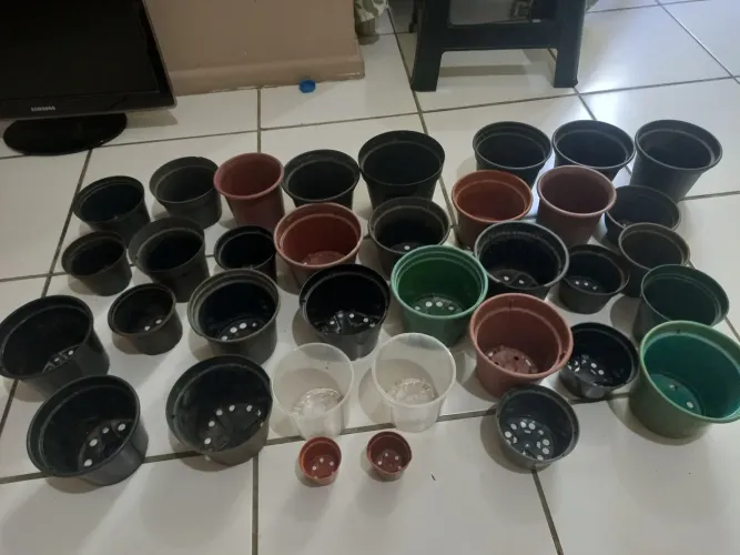 Caqueiros para plantas