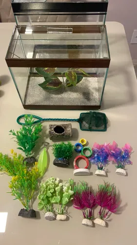 Kit Aquário