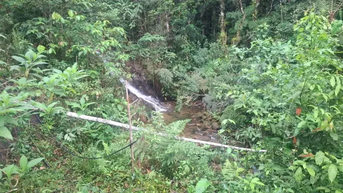 SÍTIO COM CACHOEIRA DENTRO DA PROPRIEDADE! OLHA ESSE PARAÍSO | 52 ALQUEIRES EM SETE BARRAS
