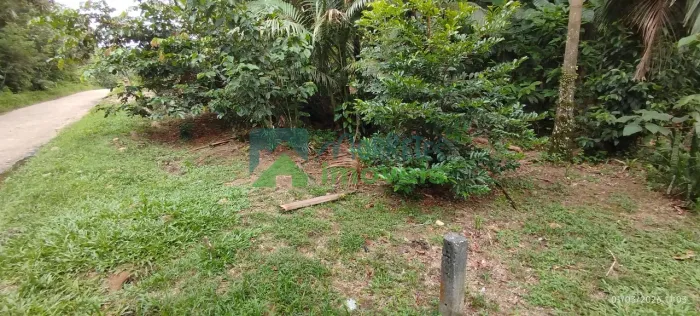 LOTE À VENDA EM PONTE ALTA MORRETESPR.