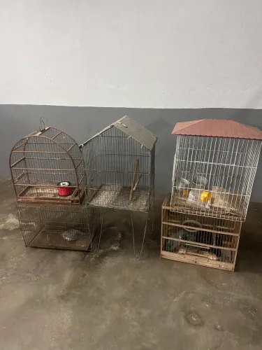 GAIOLAS E VIVEIROS PARA PASSAROS
