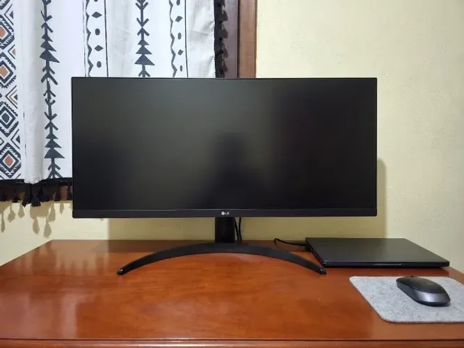 Monitor LG UltraWide (29WQ500B-B)