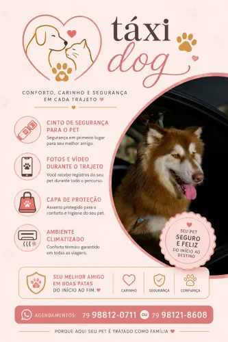 Táxi dog 