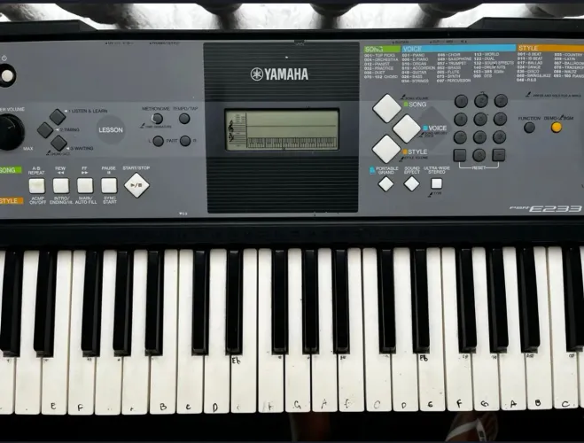 Teclado Yamaha PSR-E233 - Funcionando perfeitamente