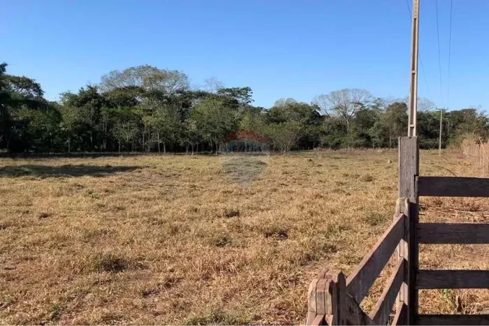 Fazenda Única em Rondonópolis - 210.000m²