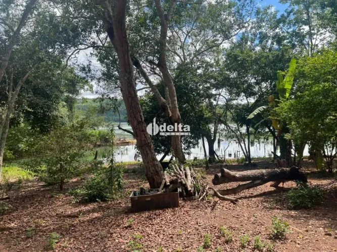 Rural Rancho em Uberlândia